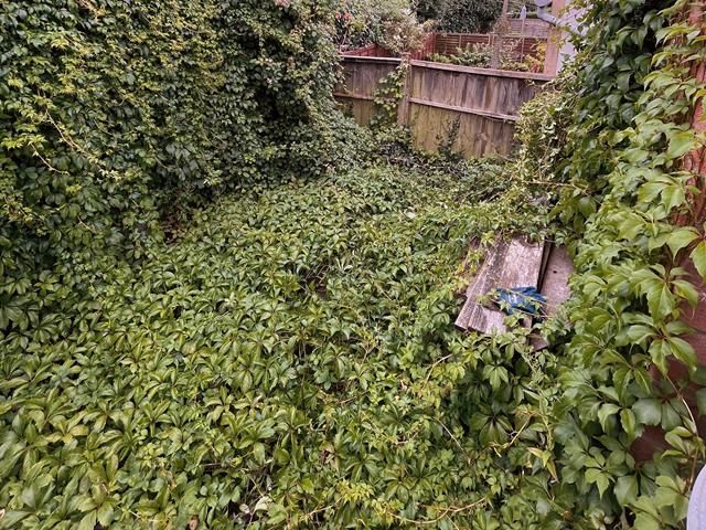 Garden Before Clearance
