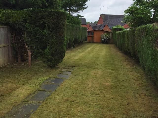 After Garden Clearance