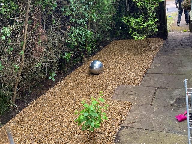 Hedge After Trimming